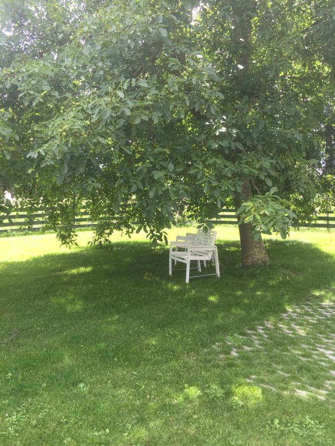 Lekerweg 32 Apartment Wijdenes Екстериор снимка